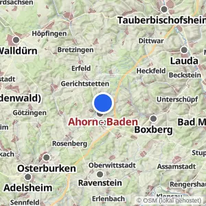 Kartenvorschau Ahorn - Baden