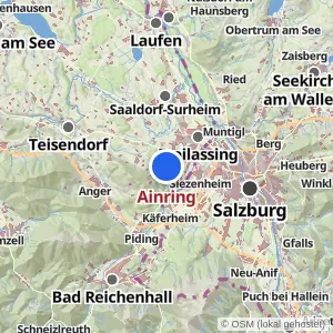 Kartenvorschau Ainring