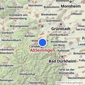 Kartenvorschau Altleiningen
