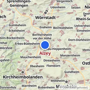 Kartenvorschau Alzey