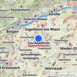 Kartenvorschau Appenheim