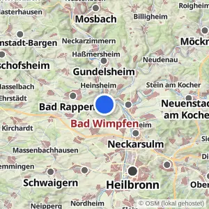 Kartenvorschau Bad Wimpfen