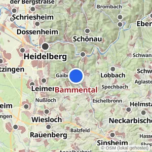 Kartenvorschau Bammental
