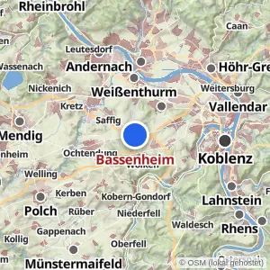 Kartenvorschau Bassenheim