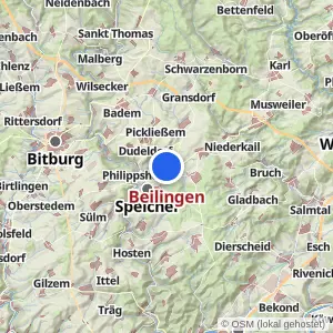 Kartenvorschau Beilingen