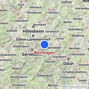 Kartenvorschau Berlingen