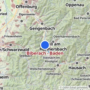 Kartenvorschau Biberach - Baden