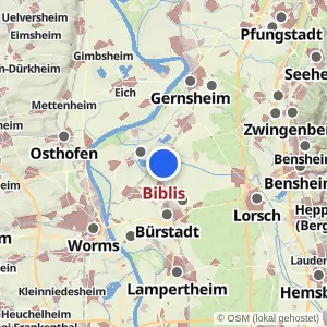 Kartenvorschau Biblis