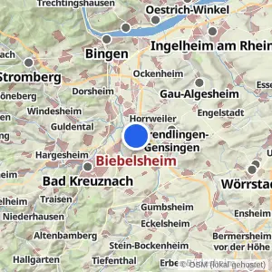 Kartenvorschau Biebelsheim