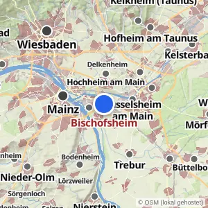 Kartenvorschau Bischofsheim