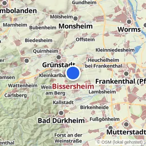 Kartenvorschau Bissersheim