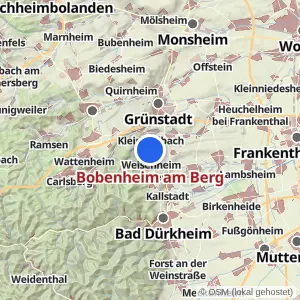 Kartenvorschau Bobenheim am Berg