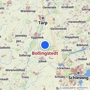 Kartenvorschau Bollingstedt