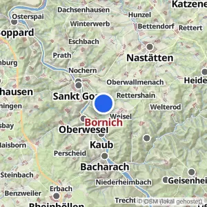 Kartenvorschau Bornich