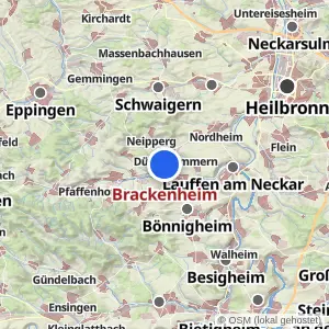 Kartenvorschau Brackenheim