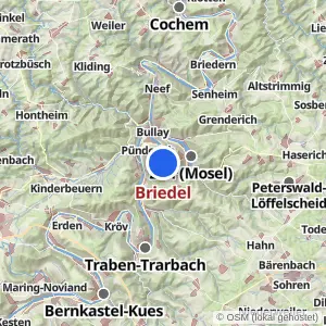 Kartenvorschau Briedel