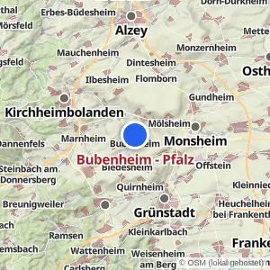 Kartenvorschau Bubenheim - Pfalz
