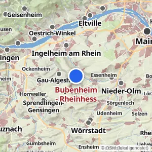 Kartenvorschau Bubenheim - Rheinhess