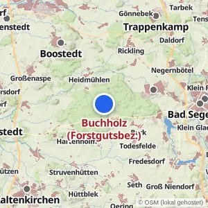 Kartenvorschau Buchholz (Forstgutsbez.)