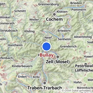 Kartenvorschau Bullay