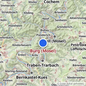 Kartenvorschau Burg (Mosel)