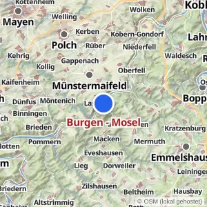 Kartenvorschau Burgen - Mosel