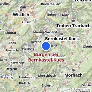 Kartenvorschau Burgen bei Bernkastel-Kues