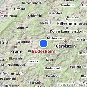 Kartenvorschau Büdesheim