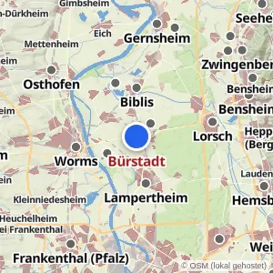 Kartenvorschau Bürstadt