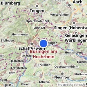 Kartenvorschau Büsingen am Hochrhein