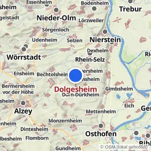 Kartenvorschau Dolgesheim
