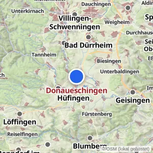 Kartenvorschau Donaueschingen