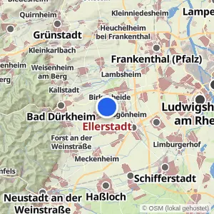 Kartenvorschau Ellerstadt