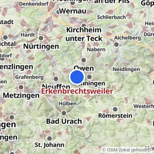 Kartenvorschau Erkenbrechtsweiler