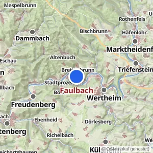 Kartenvorschau Faulbach