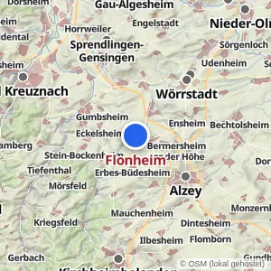 Kartenvorschau Flonheim