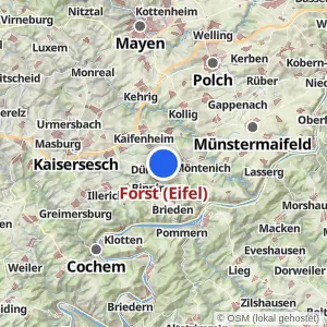 Kartenvorschau Forst (Eifel)