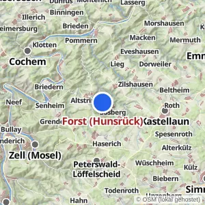 Kartenvorschau Forst (Hunsrück)