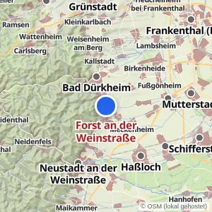 Kartenvorschau Forst an der Weinstraße