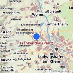 Kartenvorschau Frankenthal (Pfalz)