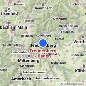 Kartenvorschau Freudenberg - Baden