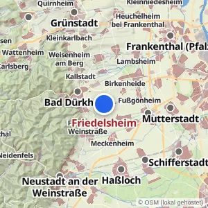 Kartenvorschau Friedelsheim