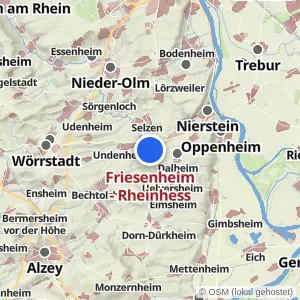 Kartenvorschau Friesenheim - Rheinhess