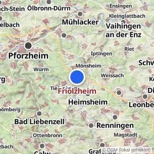 Kartenvorschau Friolzheim