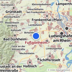 Kartenvorschau Fußgönheim