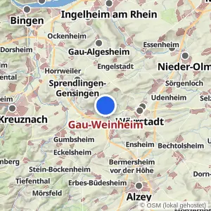 Kartenvorschau Gau-Weinheim