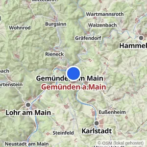 Kartenvorschau Gemünden a.Main