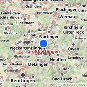 Kartenvorschau Großbettlingen