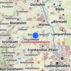 Kartenvorschau Großniedesheim