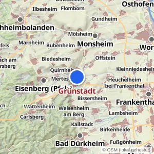 Kartenvorschau Grünstadt